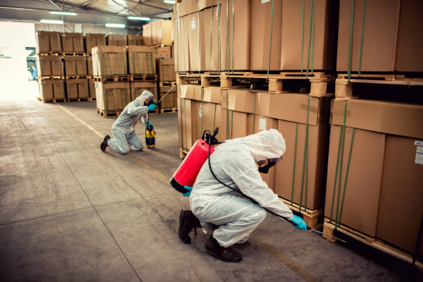 Best Residential Pest Control  in Chapel Hill, TN