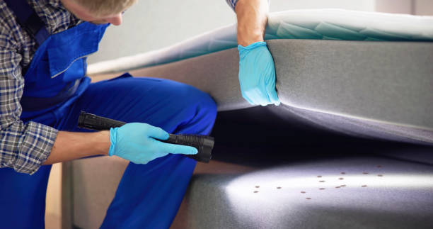 Pest Control Cost in Chapel Hill, TN