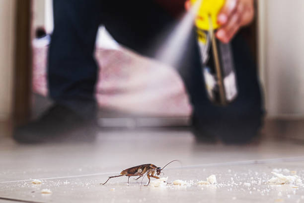 Best Wildlife Control Services  in Chapel Hill, TN