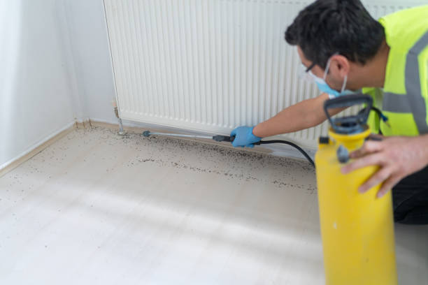 Trusted Chapel Hill, TN Pest Control Experts