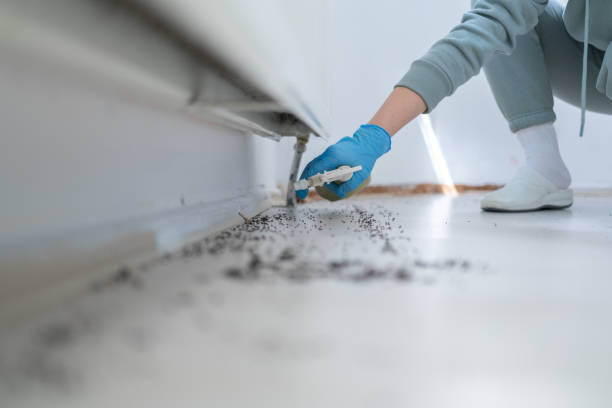 Best Pest Control for Businesses  in Chapel Hill, TN
