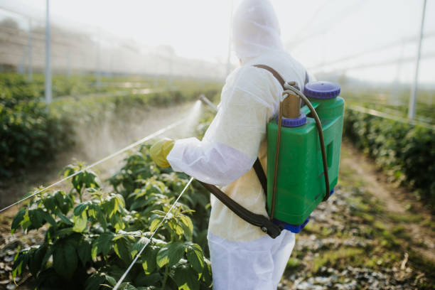 Best Wasp Removal Services  in Chapel Hill, TN